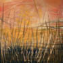 MARSHLAND SUNSET